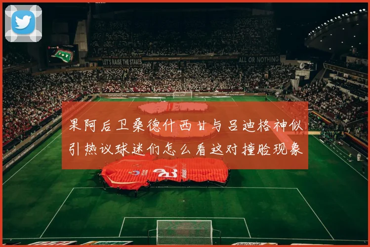果阿后卫桑德什西甘与吕迪格神似引热议球迷们怎么看这对撞脸现象
