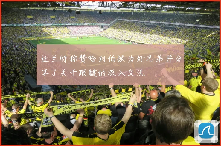 杜兰特称赞哈利伯顿为好兄弟并分享了关于跟腱的深入交流