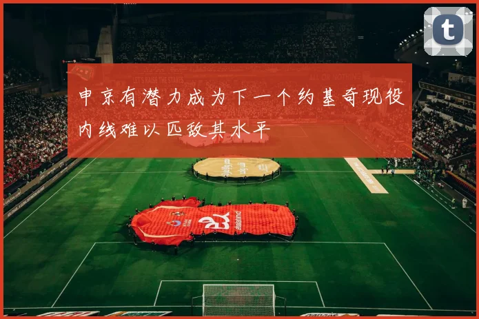 申京有潜力成为下一个约基奇现役内线难以匹敌其水平